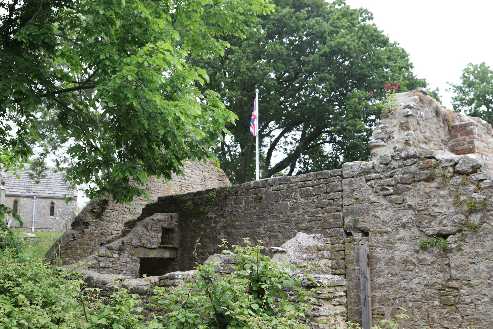 Ruins of a stone wall with green trees.